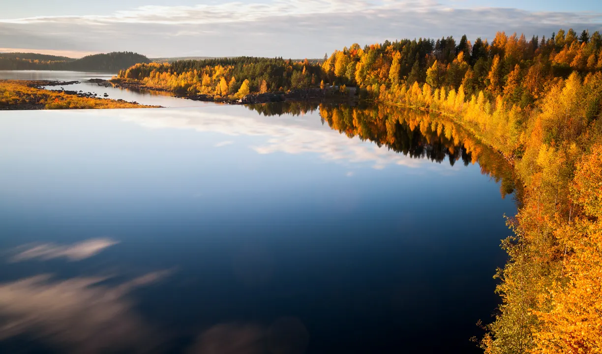 AdobeStock_74189077