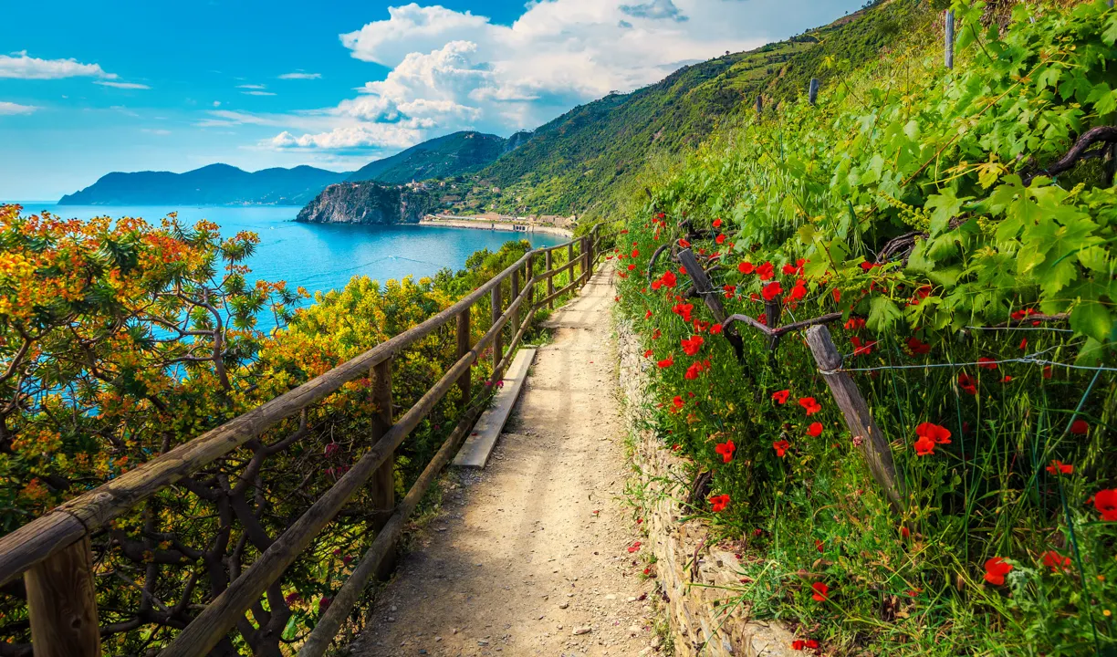 AdobeStock_340512779