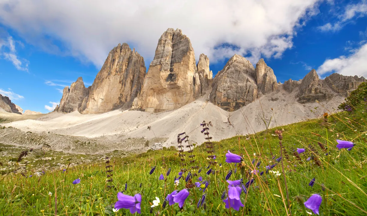 AdobeStock_117814849