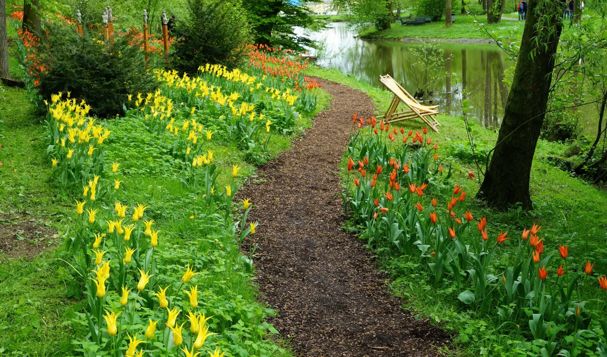 Landesgartenschau 2025 im TAL X